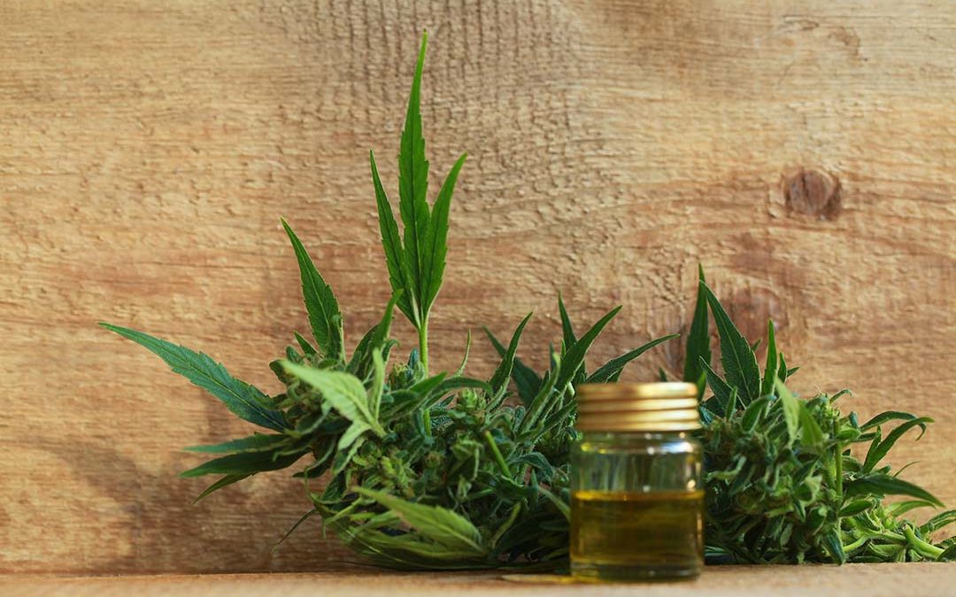 CBD 101: How this Super-Compound Could Help You
